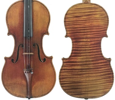 Sycamore Wood Fiddle Back Grain