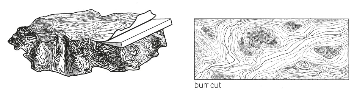 burr cut-01